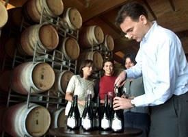 调查显示富裕阶层更愿意体验高品质葡萄酒